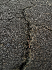 detailed photo of stone texture