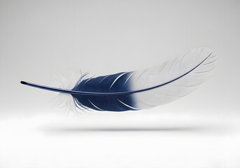 Obraz premium Elegant blue and white feather floating gently on a clean white background