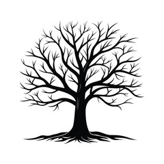 Obraz premium Silhouette of a bare deciduous tree with intricate branches and exposed roots