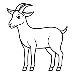 Fototapeta premium goat ,outline illustration isolated on white background