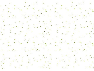 紙吹雪、m4黄緑、12塵