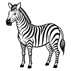 Obraz premium zebra ,outline isolated on white background