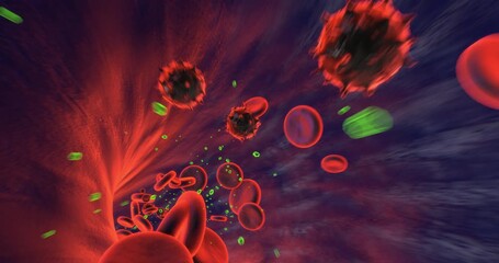Microscopic animation showing red blood cells in human vessel. Science And Healthcare Related 3D Animation. - Powered by Adobe