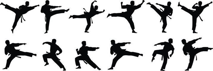silhouettes of twelve martial arts fighters, various kicking and stance poses, vector illustration, black human shapes, combat sport outline art, isolated on white background