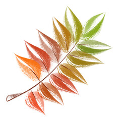 Hand-drawn abstract leaf illustration in sketch style. Colorful botanical design perfect for nature themes, eco concepts, patterns, and decorative projects.