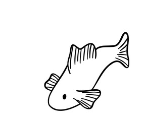 Fototapeta premium Happy Fish