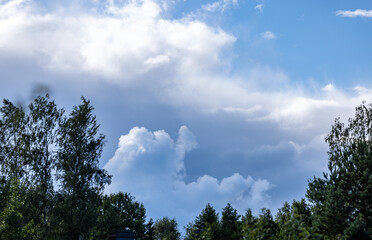 Fototapeta premium beautiful clouds rise above the forest