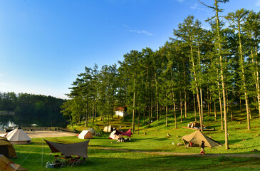 湖畔での夏キャンプ