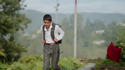 Indian school kid in uniform with a bag, going to school through green village fields.