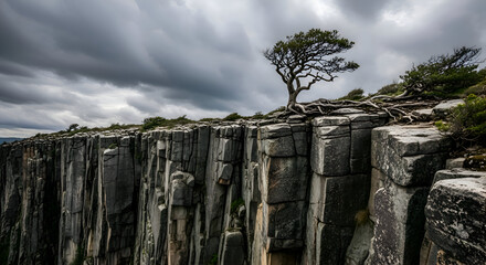 Lone Tree Standing on Dramatic Cliff Edge in Tasmania