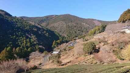 山あいの集落と茶畑の風景 © Hispanohablante