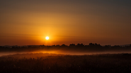 Mehlinger Heide - Sonnenaufgang - Heideblüte