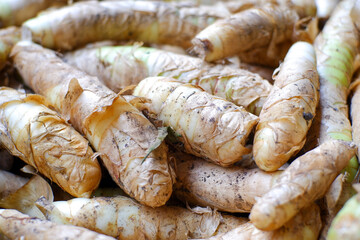 Arrowroot, scientifically known as Maranta arundinacea, is a plant from the Marantaceae family....