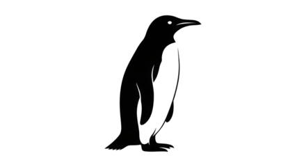 A solitary penguin stands in the darkness with a shimmering outline and a hint of a starry background