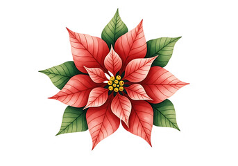 Obraz premium Beautiful red poinsettia flower with green leaves perfect for christmas decorations and holiday designs