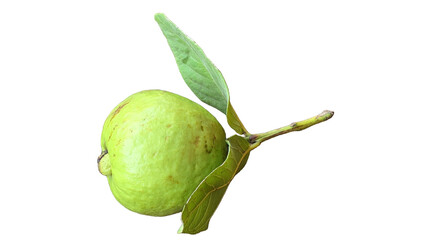 Guava Isolated on a White Background with Copy Text Space. Tropical Fruit Element for Health Posters, Nutrition Themes, and Nature-Inspired Designs. PNG File