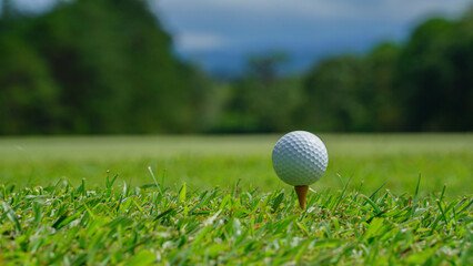 Golf ball on tee in a beautiful golf course with morning sunshine.