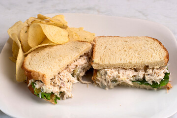 chicken salad sandwich with chips