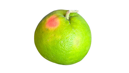 Grapefruit (Citrus × paradisi) Isolated on a White Background with Copy Text Space. Citrus Fruit Element for Refreshment Posters, Health Themes, and Nature-Inspired Designs. PNG File