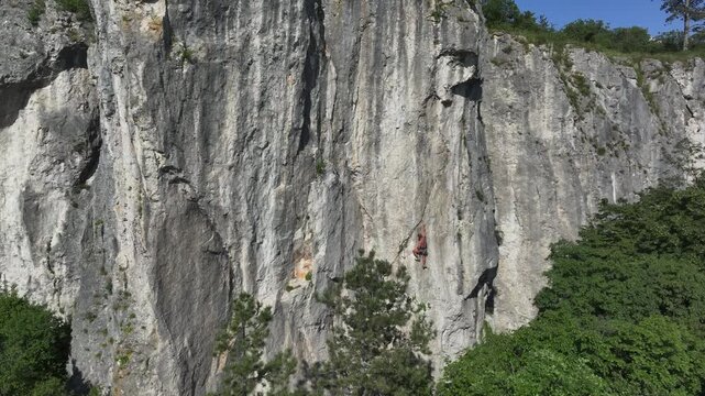 AERIAL: Shirtless climber on a vast rock face above a lush canopy of green trees on a sunny summer day. Exceptional climbing area full of diverse climbing routes in the middle of the karst landscape.