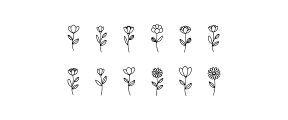 Elegant hand-drawn floral designs showcasing various flower types and styles on a minimalist background
