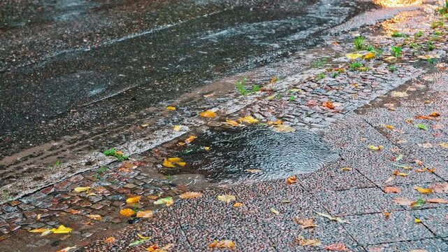 Rain Water Puddle Formed on Sidewalk Pavement during Heavy Rainfall Rainy Day