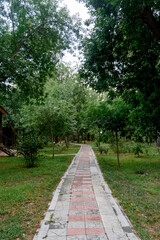 stone path surrounded by greenery and trees.