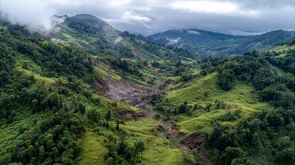 Fototapeta premium Misty Mountain Landscape with Lush Green Forest and Prominent Landslide Exposing Earth and Rocks
