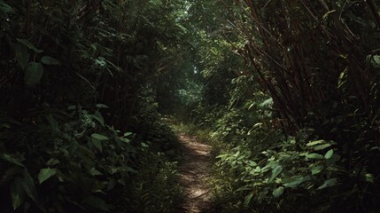 Fototapeta premium Sunlit narrow forest path winding through dense lush greenery creating a natural tunnel of foliage
