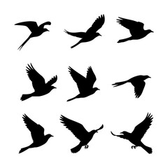 Obraz premium A set of nine black silhouette swallows in various stages of flight are displayed against a white background, capturing their dynamic movement and characteristic forked tails