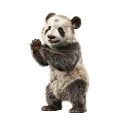 Fototapeta premium Playful panda mascot design transparent background graphic illustration whimsical art studio view creative concept