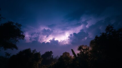 Naklejka premium Dramatic Nighttime Thunderstorm with Lightning Illuminating Cloudy Sky and Silhouetted Trees