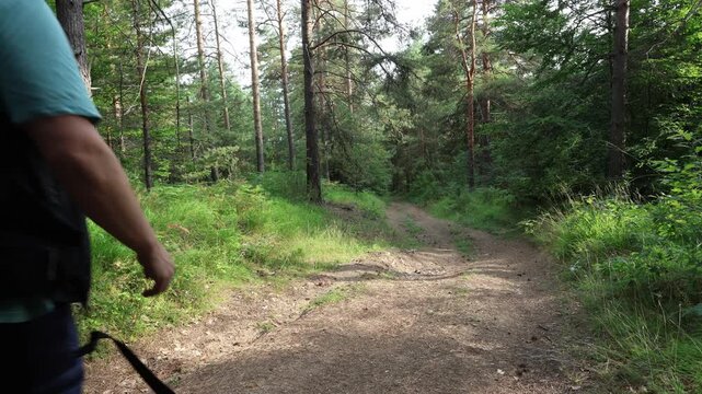 Father, mother, and two children &ndash; walking together through a scenic pine forest, enjoying nature, bonding, and creating genuine moments outdoors. Authentic family hiking experience, diverse family.