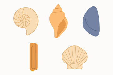 Mixed seashell assortment with whelk clam and scallop in warm tones