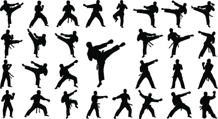 Silhouette martial artists performing various stances and techniques, kicks, punches, defensive moves, diverse fighting styles, combat sport illustration concept