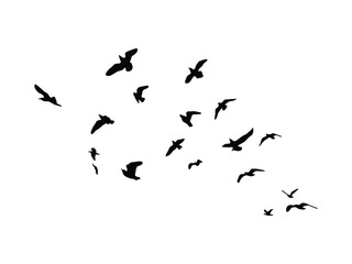 Flying Birds Silhouette Vector. Flock of Birds in Flight Icons