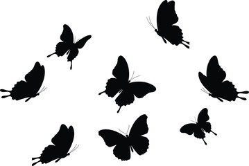 Black butterfly silhouettes in various flying poses, isolated vector design, insect wings shapes, nature wildlife, elegant butterfly collection, freedom and beauty concept illustration