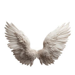 Obraz premium Two white angel wings isolated on a transparent background,