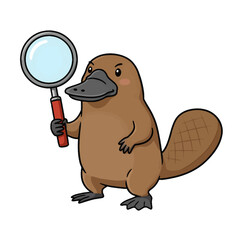 Cartoon platypus holding a magnifying glass, looking intently with curiosity, isolated.
