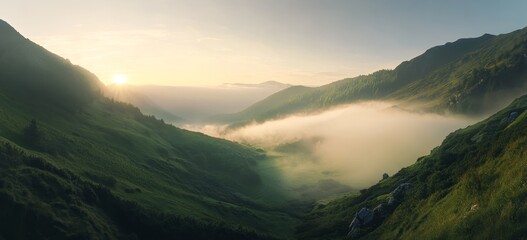 Beautiful summer landscape of green hills and a foggy valley at sunrise, in the style of Carpathian mountains 