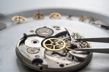 Pocket watch mechanism. Mechanical steel clockwork with cogwheel and screw