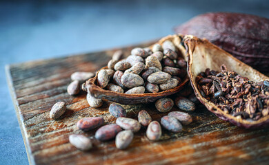 cocoa bean and cocoa nibs, cacao pods