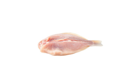 Fish fillet on transparent background png
