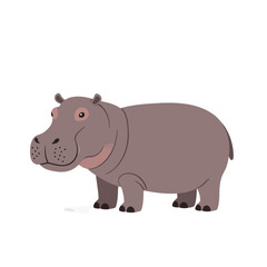Illustration of a hippopotamus standing on a white background, depicted in a simple, cartoon style.