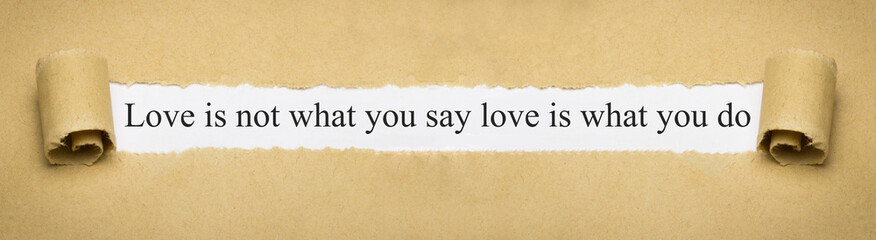 Love is not what you say love is what you do