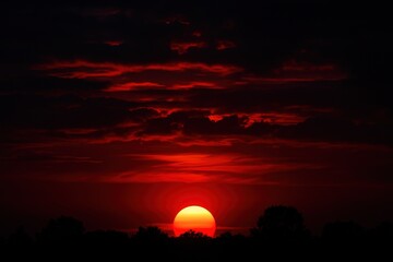 Dramatic sunset with silhouetted trees.