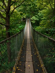 Suspension bridge adventure lush forest scenic photography nature elevated perspective tranquility and exploration