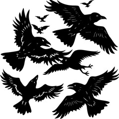 Set of Flying Ravens (Corvus corax) Isolated on White Background – Halloween Concept