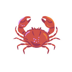 Red crab illustration. Hand drawn vector drawing isolated on white background. Seafood cuisine and marine food. Design for poster, menu, postcard, sticker