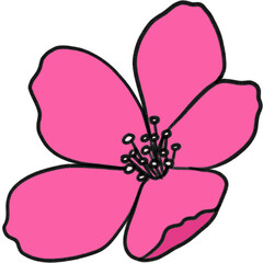 Simple Flower Illustration Isolated